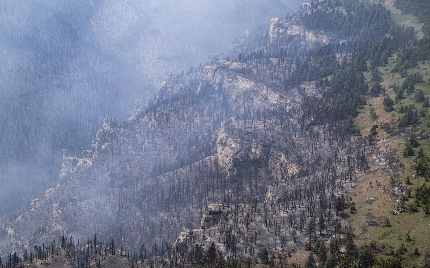 Crooked Creek Fire 2021